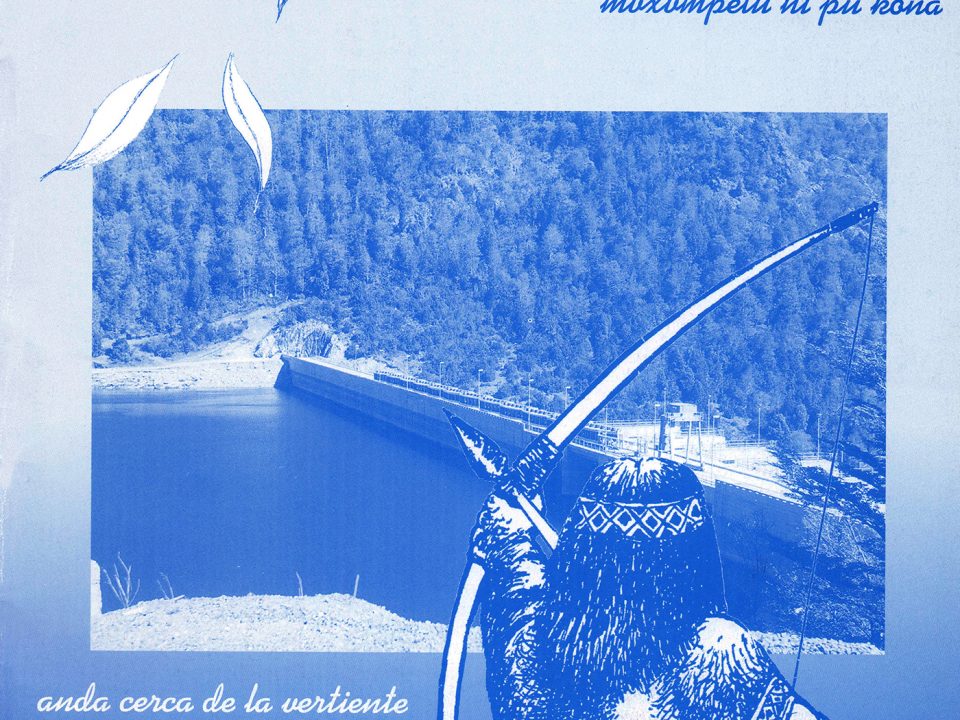 Afiche No a Ralco 1998