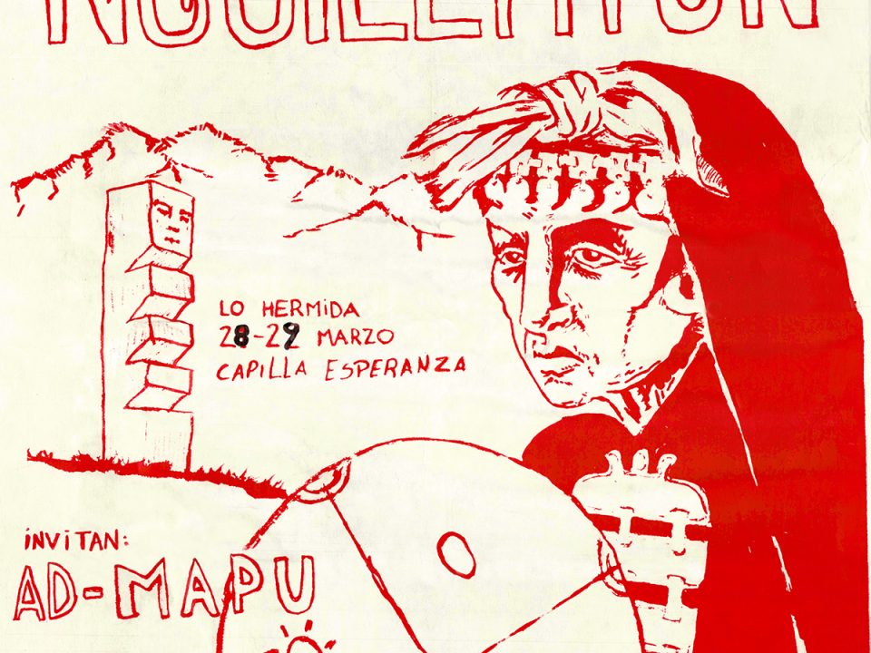 Expresión Cultural Mapuche Ngillatun, organización Admapu